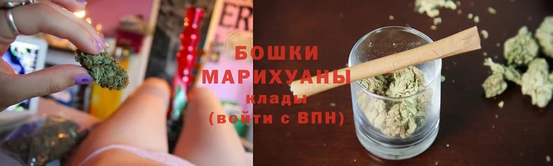 Бошки марихуана план  мориарти телеграм  Новосиль 